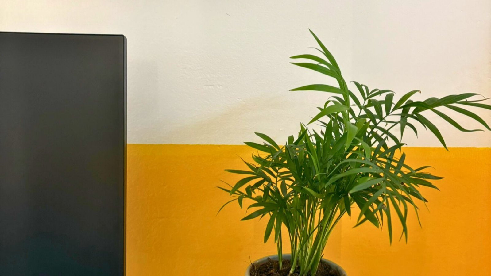 8fbfb7a6-b6ef-4e83-893c-131915a19662